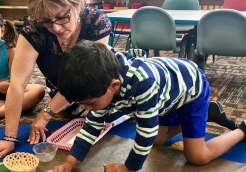 What Makes Arbor View Montessori Different?