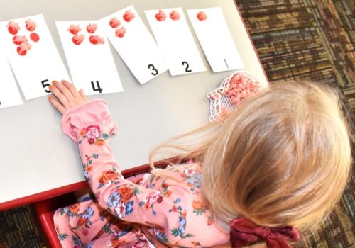 From Play to Purpose: The Montessori Work Cycle Explained