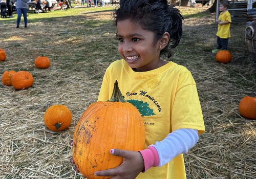 Seed to pumpkin to pumpkin