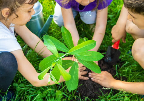 The Art of Earth: Celebrating Earth Day the Montessori Way