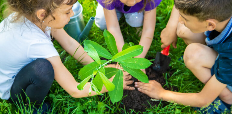 The Art of Earth: Celebrating Earth Day the Montessori Way