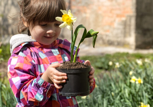 Embracing the Rebirth of Nature: Integrating Spring-Themed Activities into the Montessori Curriculum at Arbor View Montessori